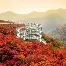 s15外围德罗巴主场落户苏州常州赛后发声的简单介绍
